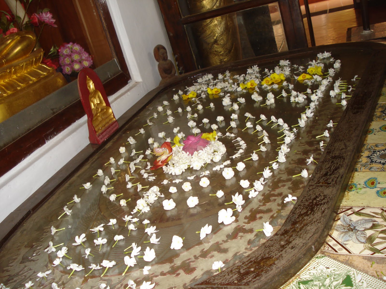 [DSC02735.JPG]