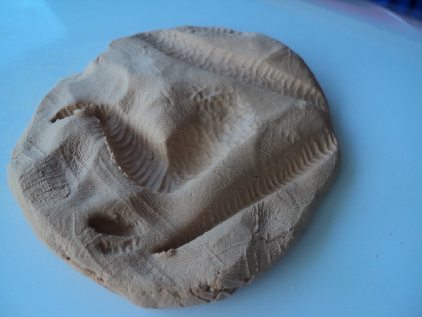 clay dinosaur fossils