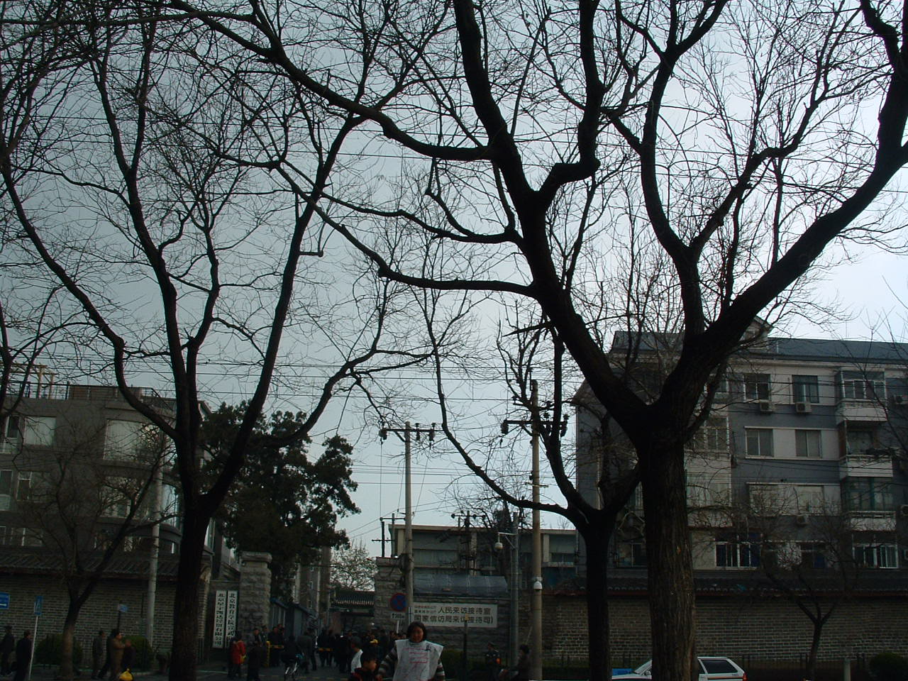 [DSCF0117.JPG]