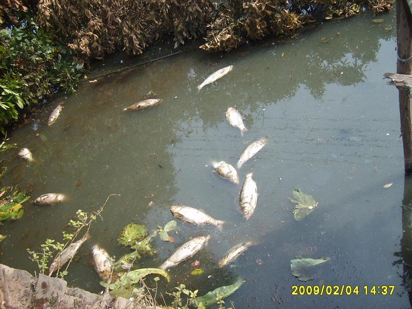 [S5001125.JPG]