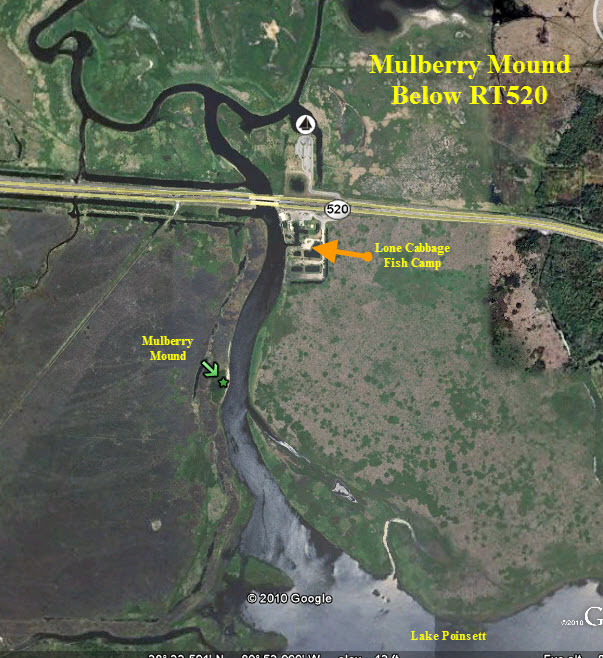 Florida Hikes and Other Outdoor - Mulberry Mound