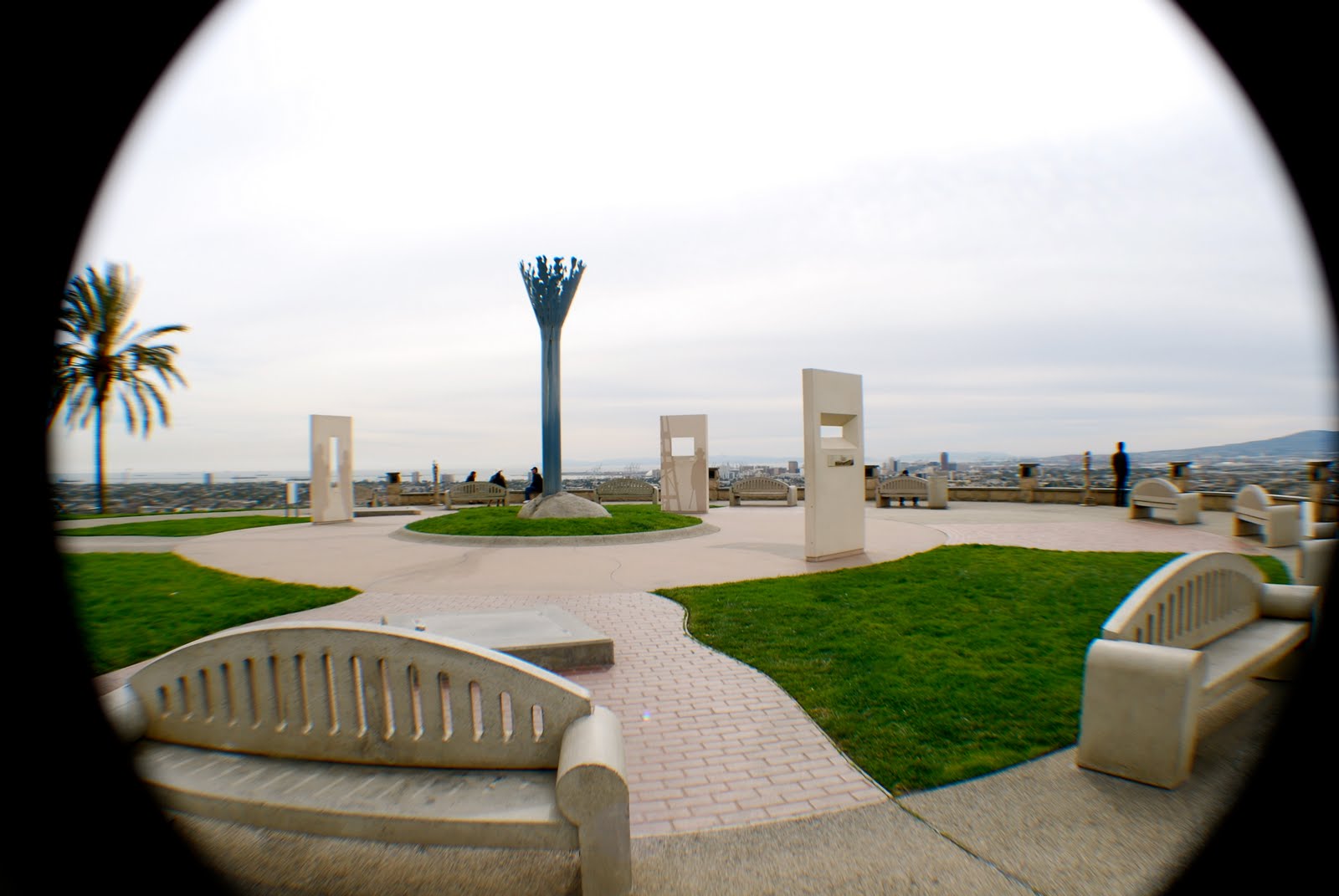 [DSC_0678.JPG]