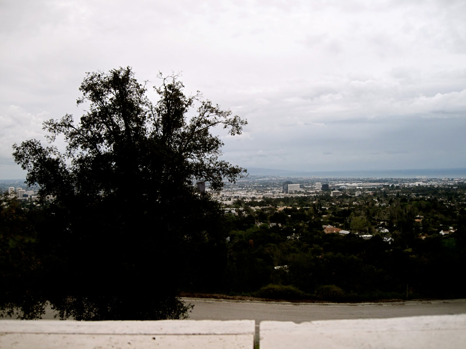 [IMG_0689.JPG]