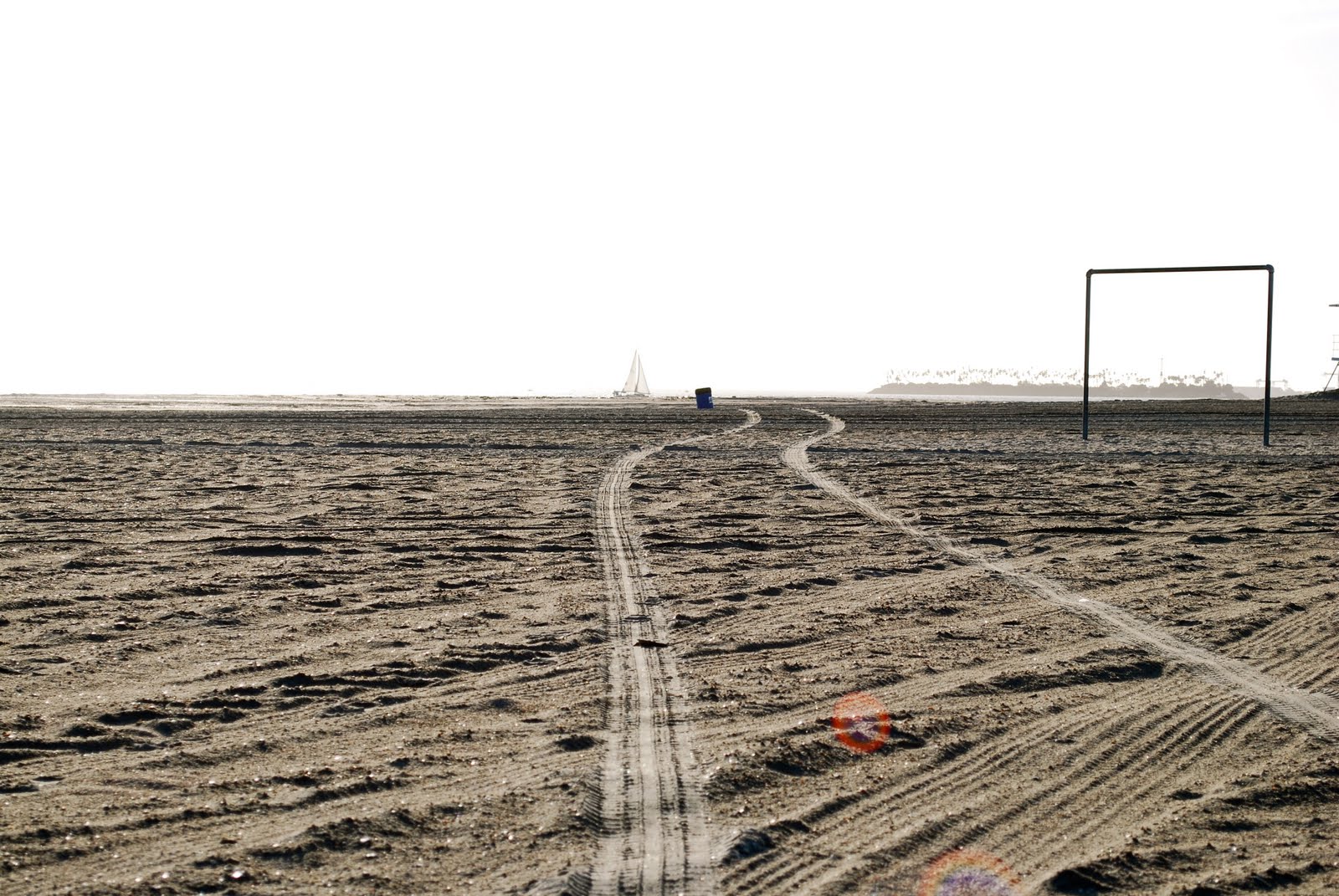 [DSC_0484.JPG]
