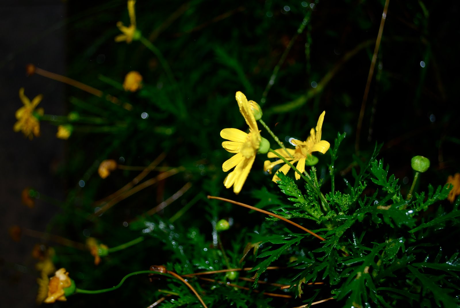 [DSC_0318.JPG]