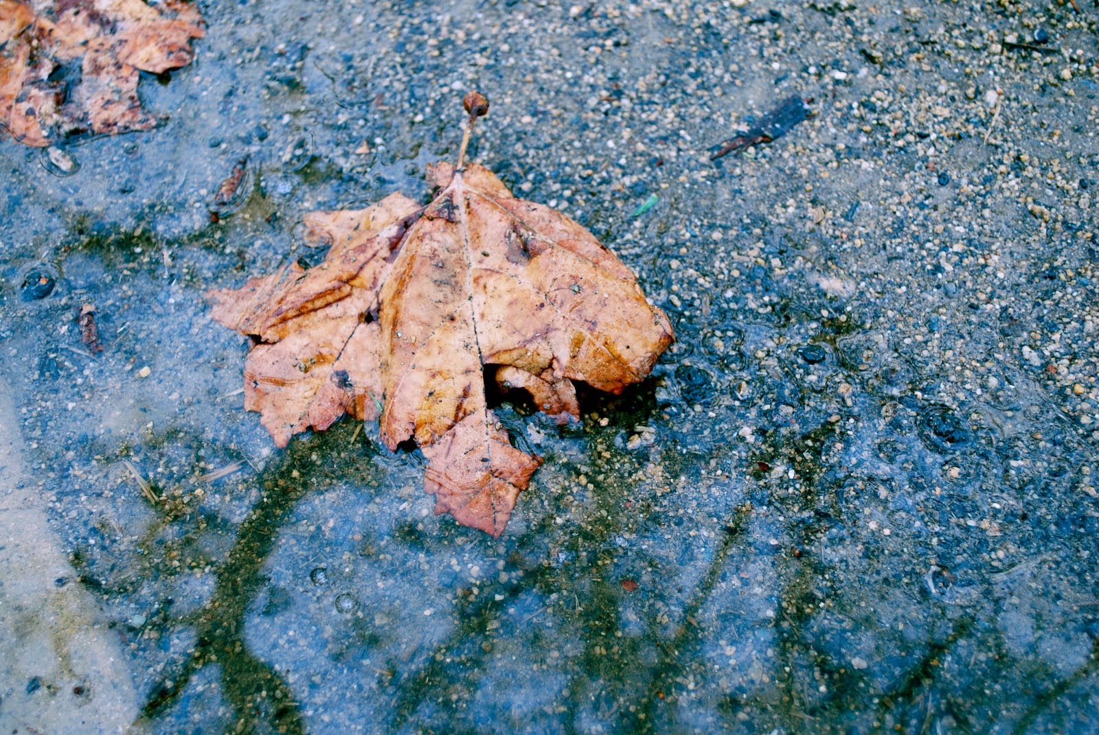 [DSC_0309.JPG]