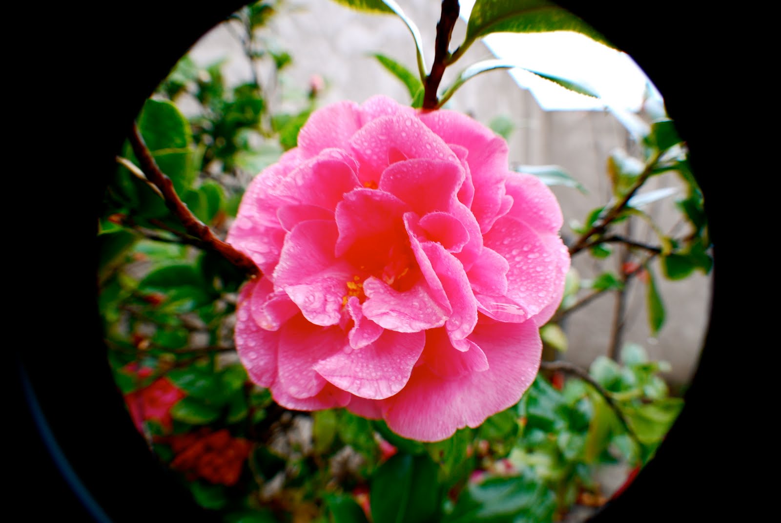 [DSC_0361.JPG]