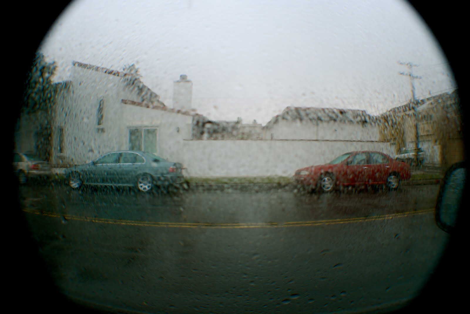 [DSC_0345.JPG]