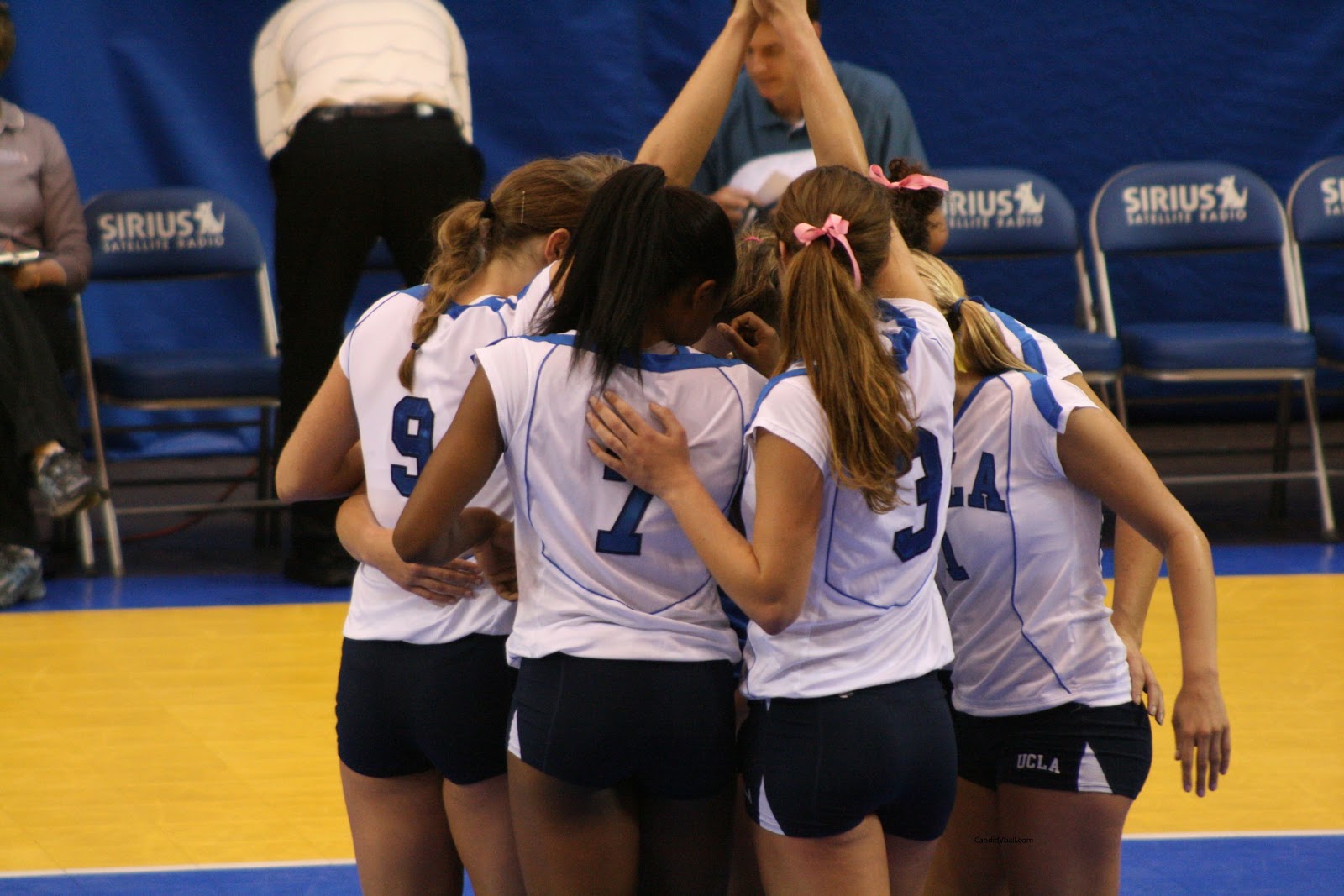 Volleyball Girls Pictures UCLA women's volleyball team during a game