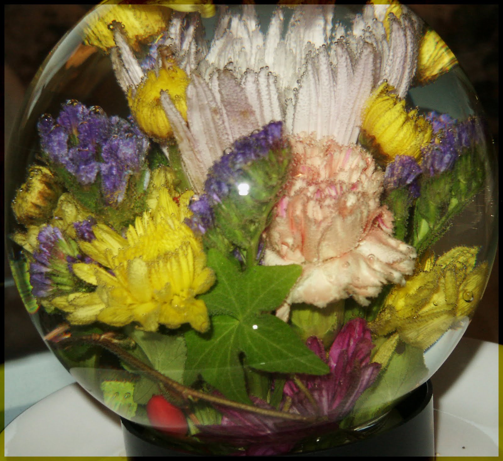 YARDEN COLLECTIONS Flower aquarium.