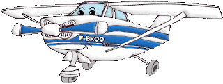 Photo Cessna 182 Mascotte API