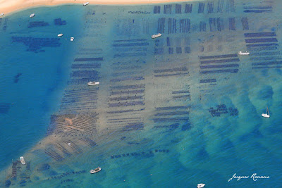 Photo aérienne des Parcs à huîtres du Banc d'Arguin à l'entrée du Bassin d'Arcachon
