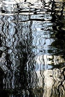 Untitled photograph of trees reflected in water by ebergcanada on Flickr