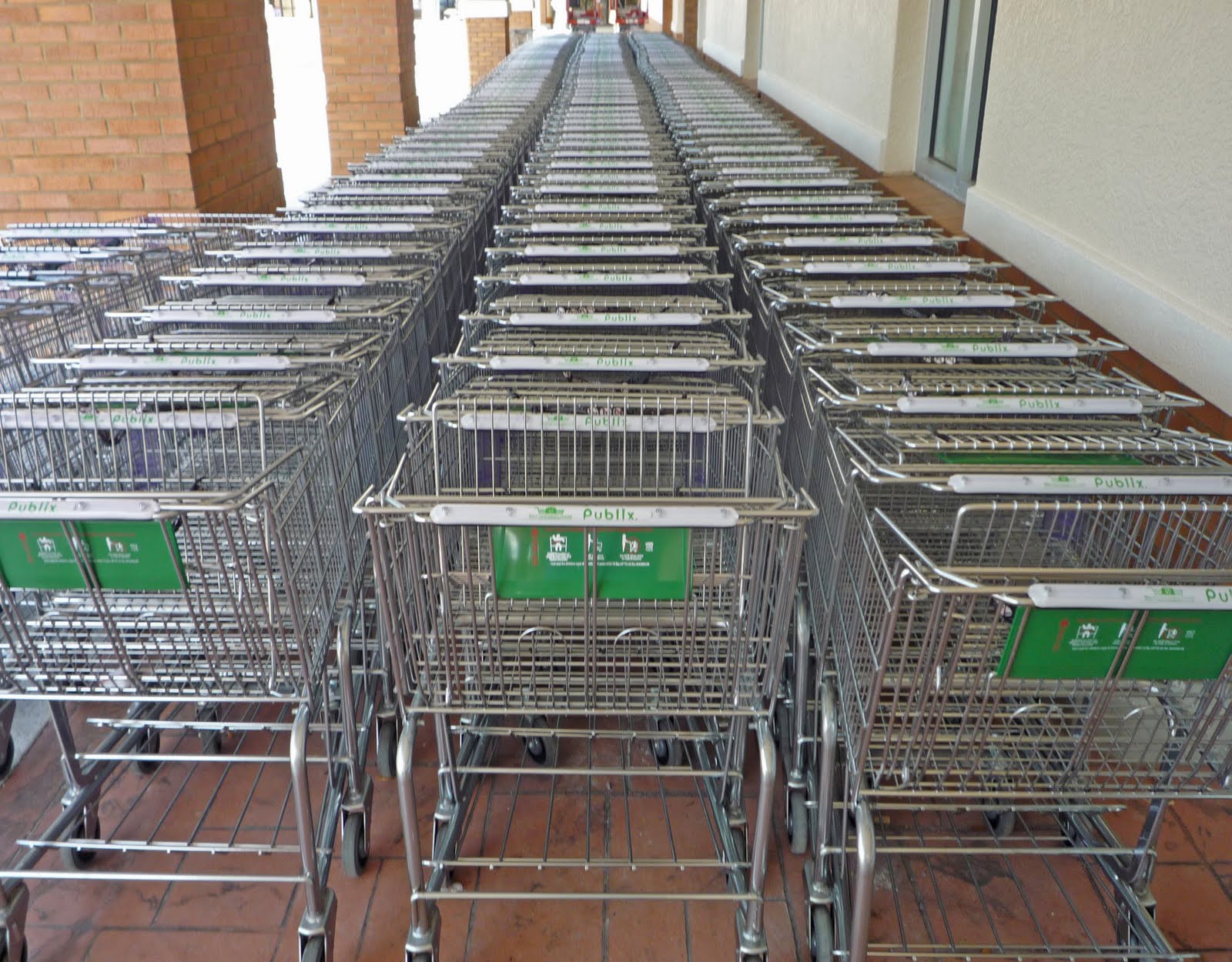 New Tampa and Wesley Chapel, FL Tampa Palms Publix to reopen this month