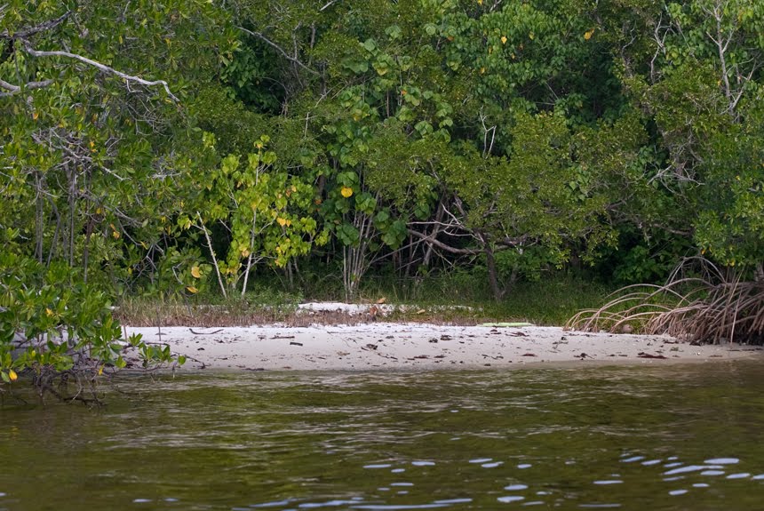 [121409+paddle+01.jpg]