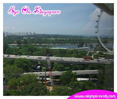[ainmaisarah_eyeonsingapore.jpg]
