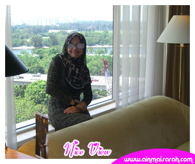 [ainmaisarah_niceview.jpg]