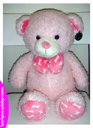[aain_teddy.jpg]
