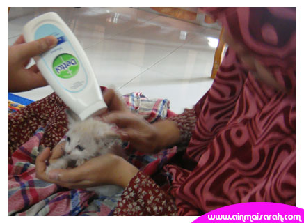 [raya_ain_21.jpg]