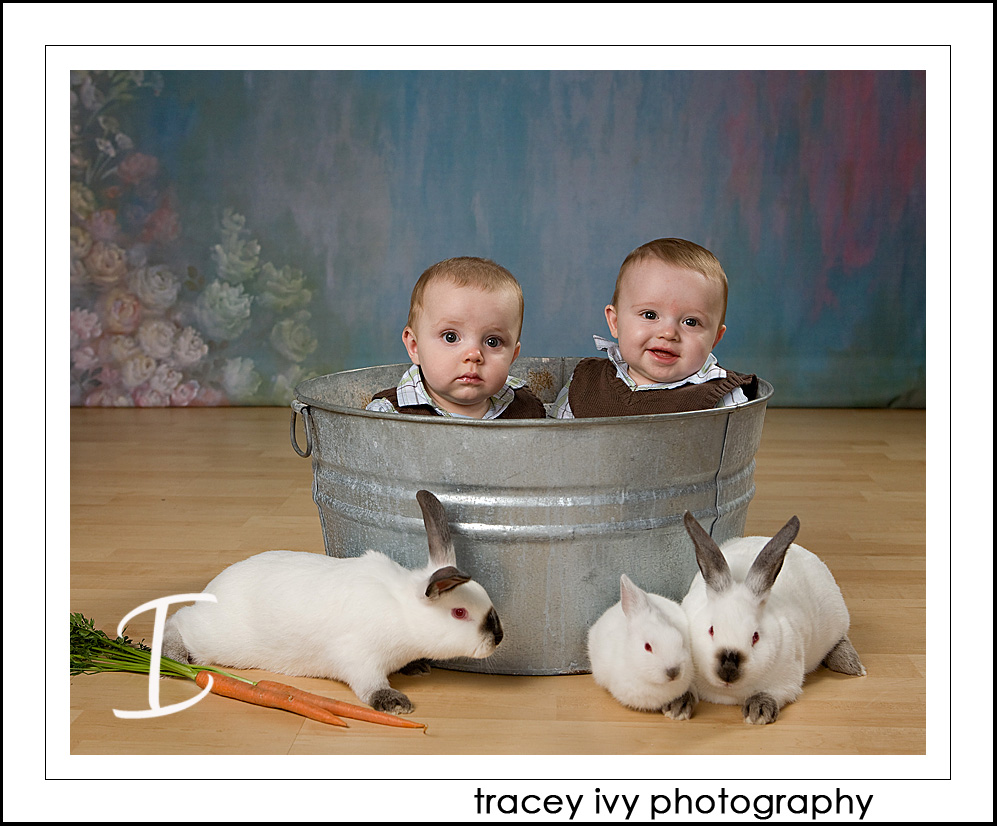 [2010+bunnies+051.jpg]