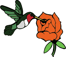 [DrawHummerFlower02b.gif]