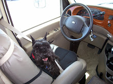 In the Motor Home