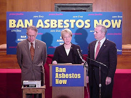 Ban Use of Asbestos Products