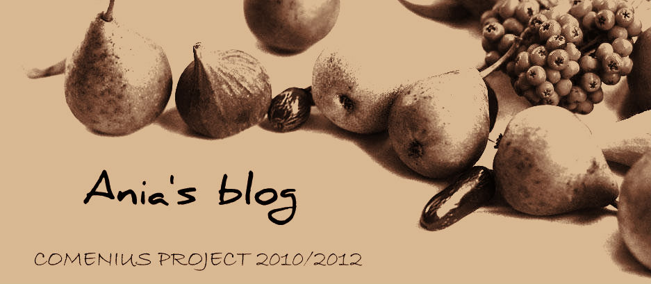 Ania's blog