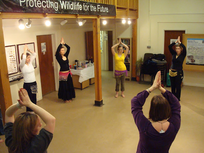 Belly Dancing session with instructor Elizabeth Smith