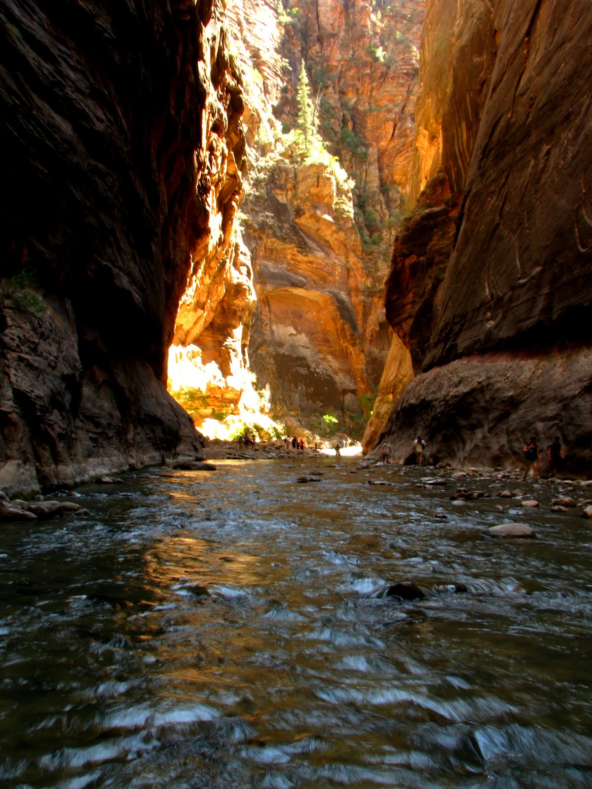 I've been Places!: [Hike] Zion Narrows - Zion NP - UT