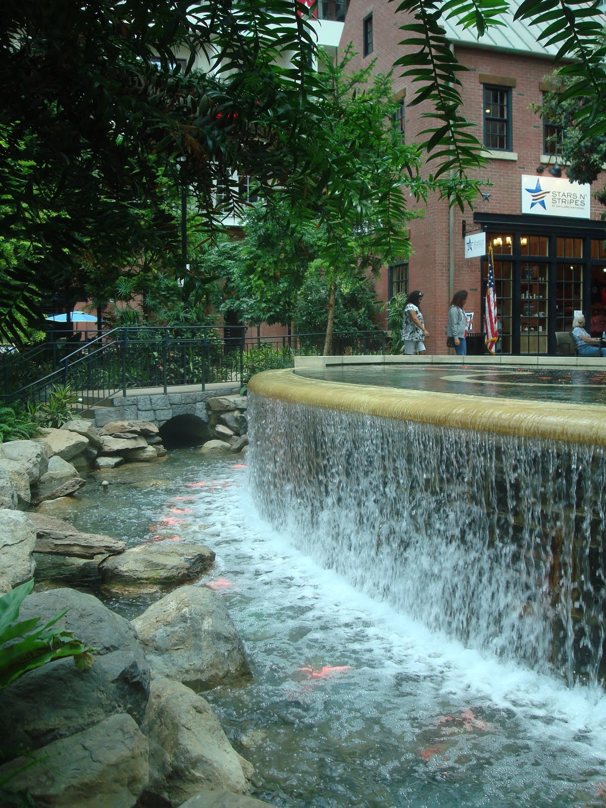 Lost In Holland: July 2010