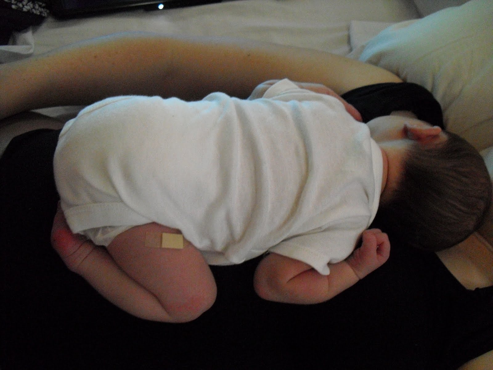 CIMG0800.JPG