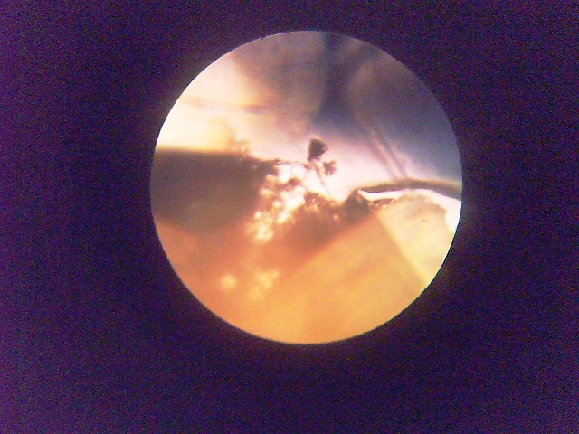[PAP_0027web.JPG]