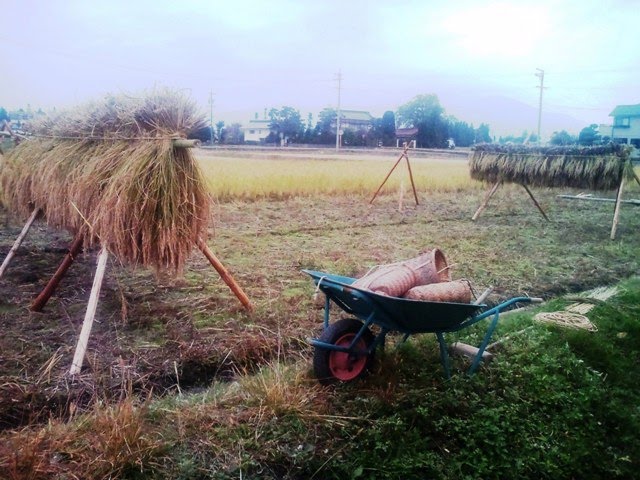 [PAP_0037web.JPG]