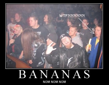 bananas%20www.motivationalpostersonline.blogspot.com%20demotivational%20posters%20motivational%20poster%20funny%20wtf.jpg