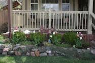 Our Home: Spring 2010