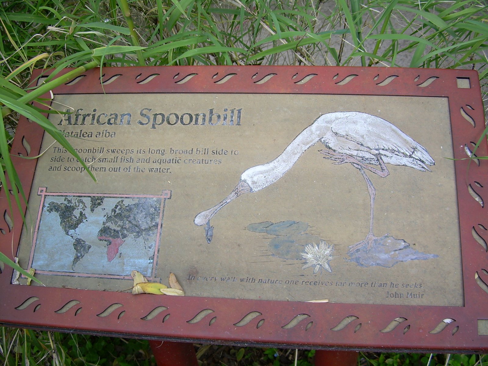 [DSCN0056.JPG]