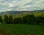 Bue Ridge Parkway Mtns.