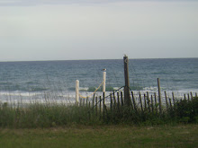 Seagull sitting on a post