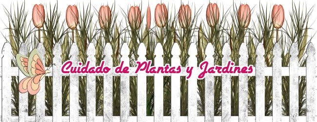 CUIDADO DE PLANTAS Y JARDINES