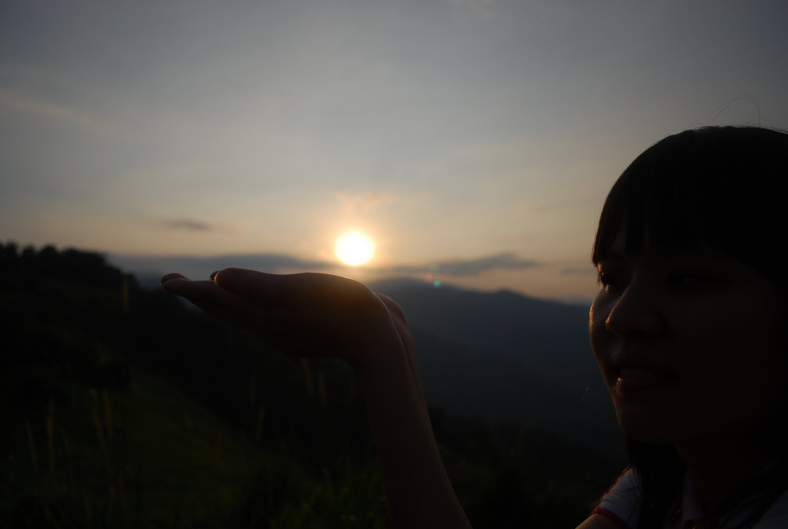 nicol: broga hill with BJJN (best jungle junior nonsense)