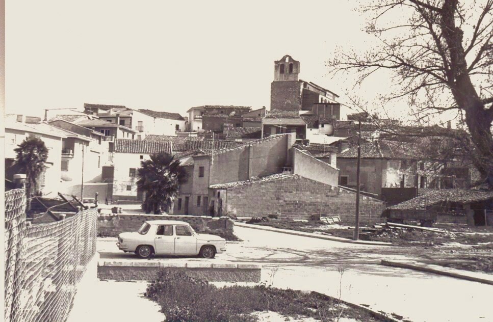 tortola de henares
