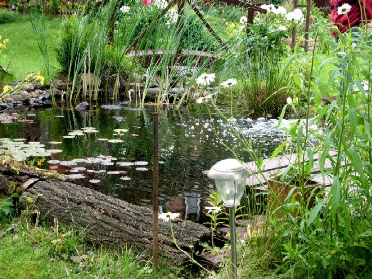 44+ Was Kann Man Aus Einem Alten Teich Machen, Wir haben bei uns in