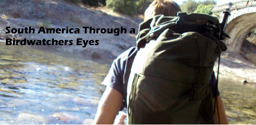 South America Through a Birdwatchers Eyes