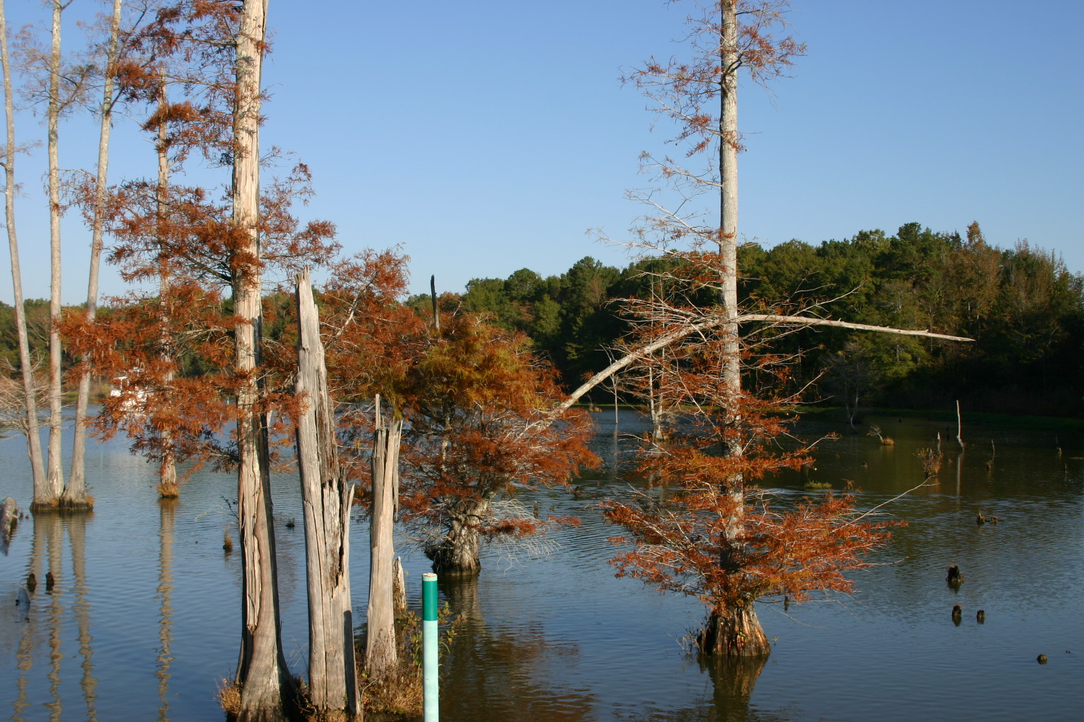 The Querrey's QUEST 10/31/2010 THE RIVER SECTION OF THE TENNTOM WATERWAY
