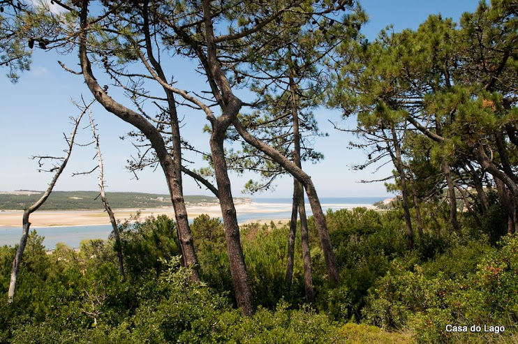 Obidos lagoon, viewew from Foz do Arelho