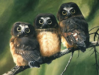 три совы