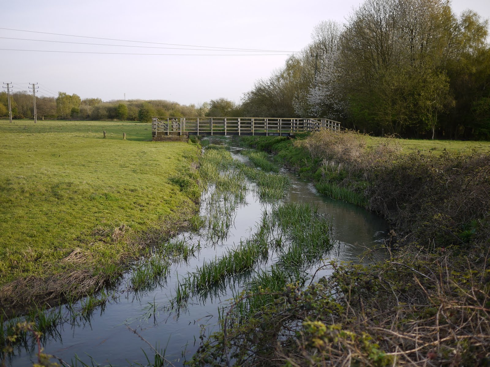 Walking in the country Sandhurst to Farnborough (Blackwater Valley Path 3)