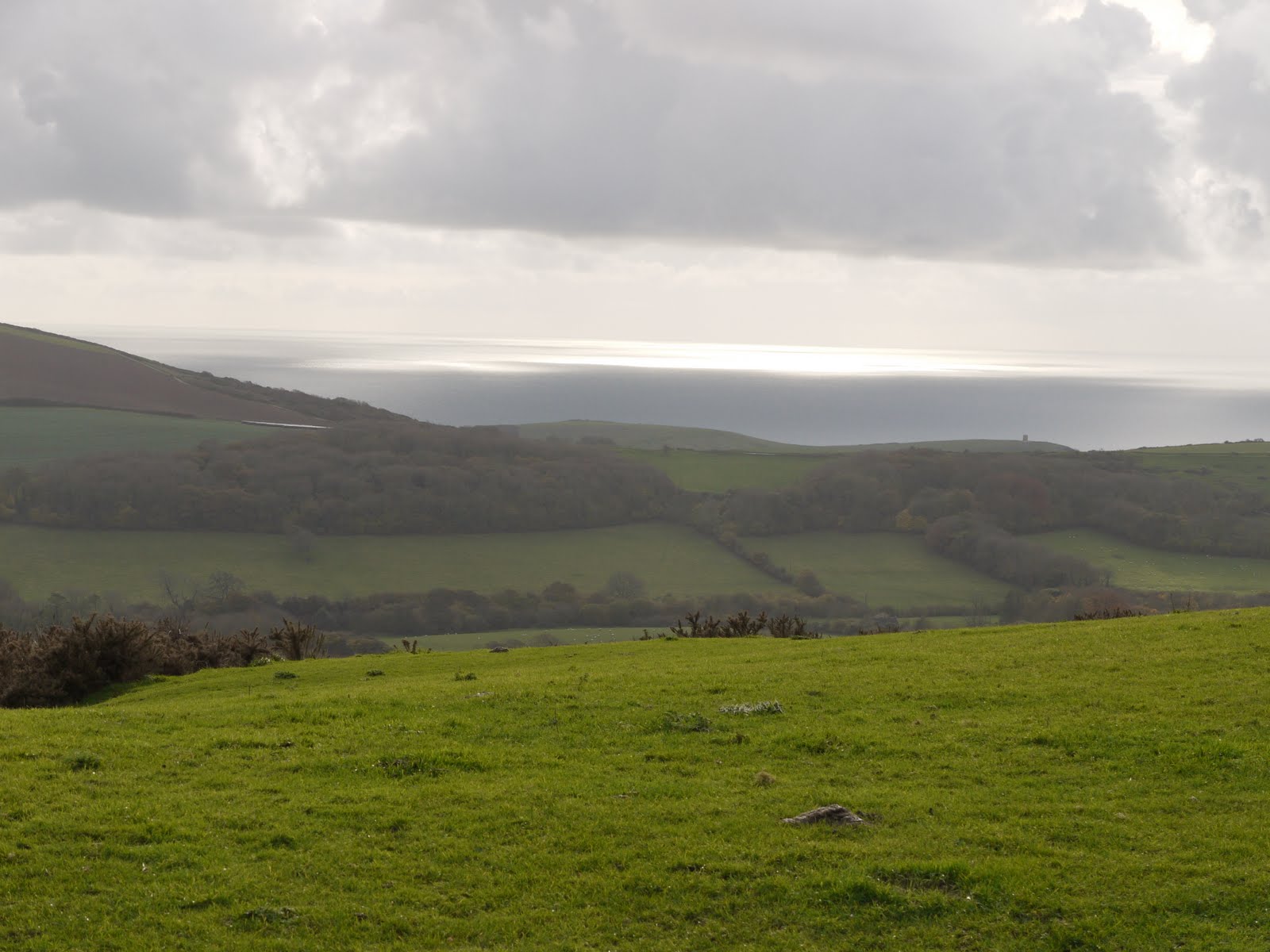 Walking in the country: Corfe Castle and the Purbeck Ridge