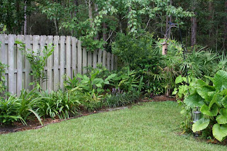 The Rainforest Garden: Wet Garden